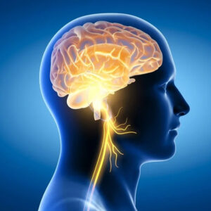 Neurology & Brain Health